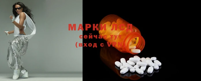 гидропоника Заволжск