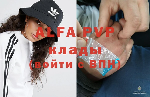 прущие грибы Зеленокумск