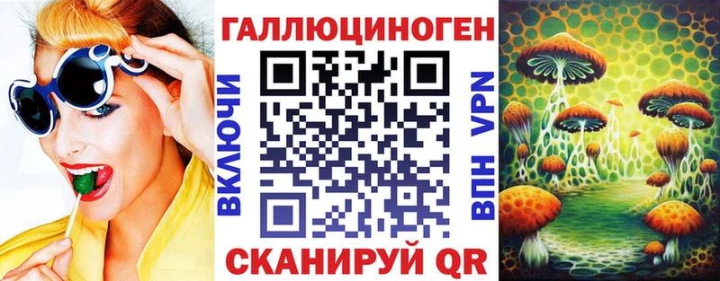 Купить  Жердевка  Псилоцибиновые грибы мицелий 